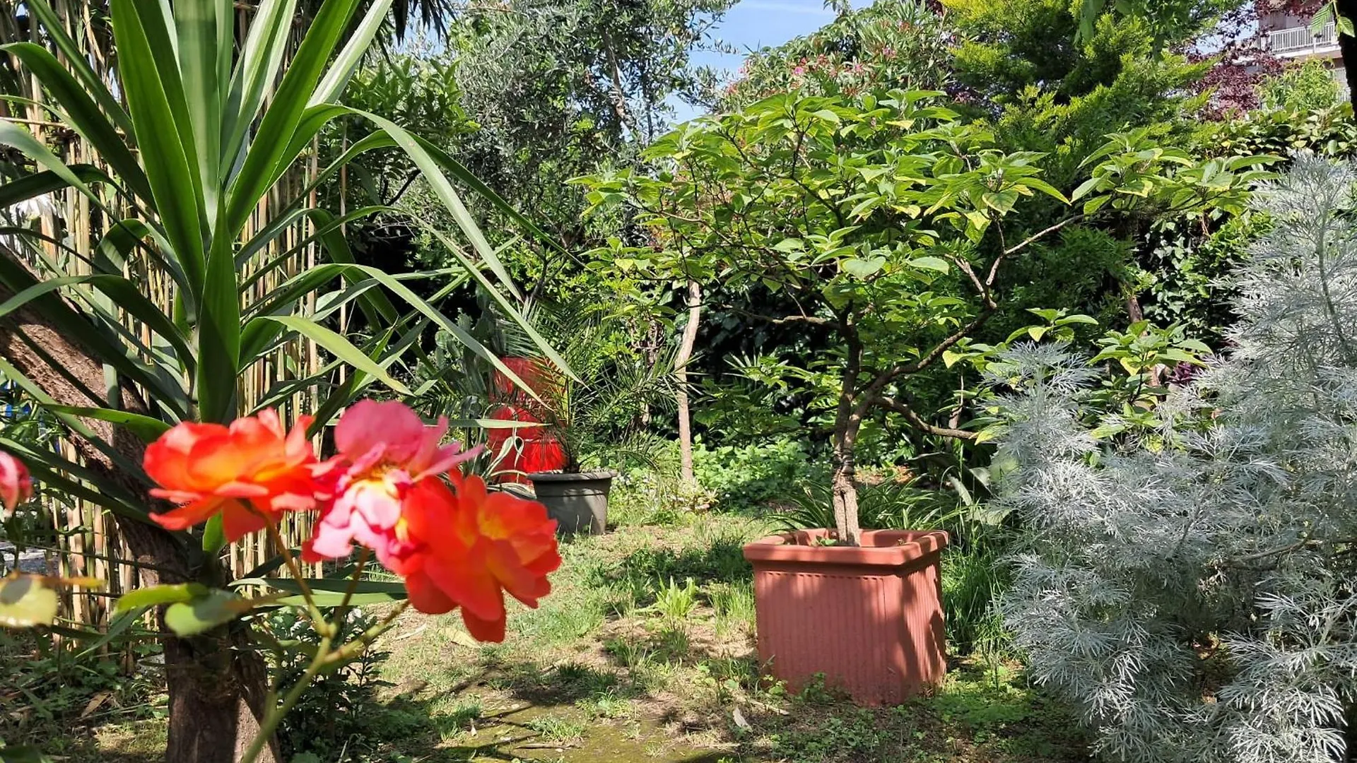 Room With A Garden Mailand 0*,  Italien