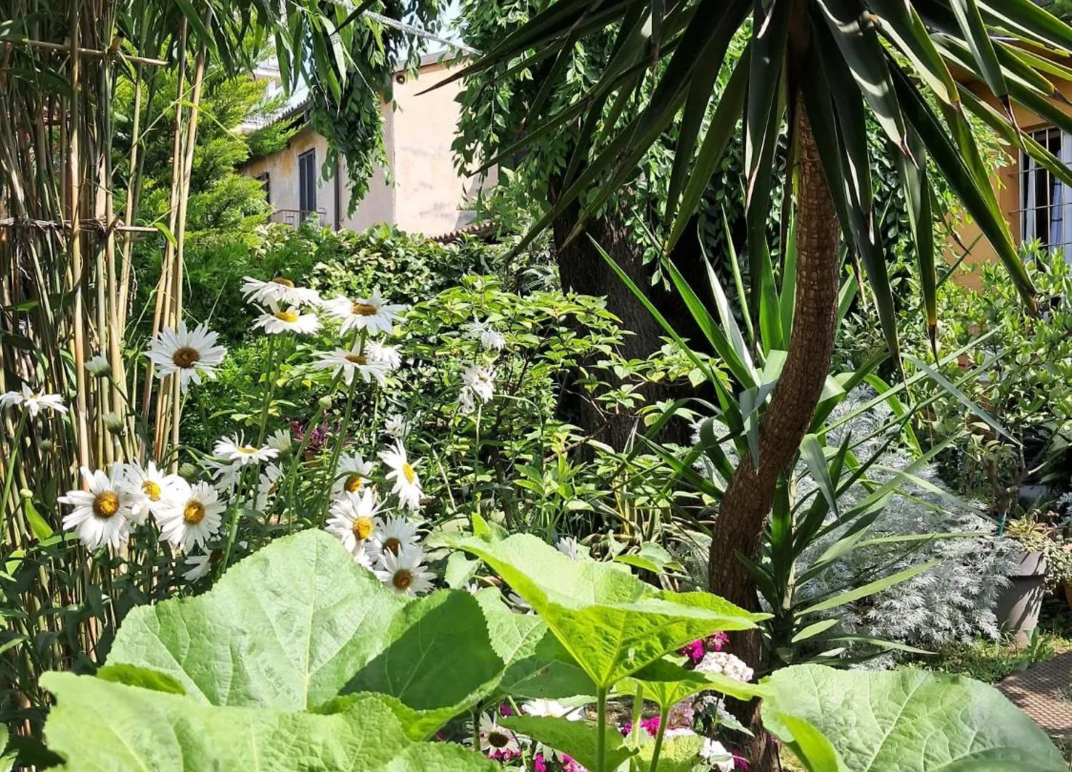 Room With A Garden Mailand Privatunterkunft