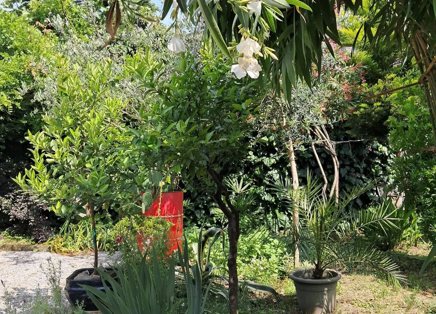 Homestay Room With A Garden Milan