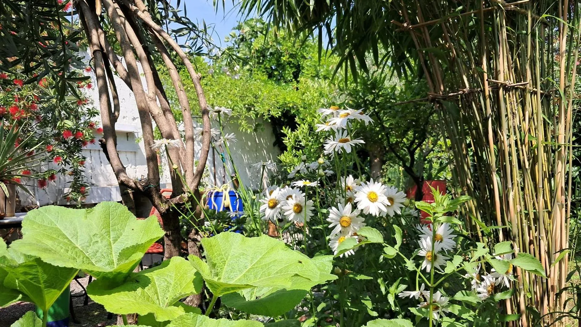 Homestay Room With A Garden Milan Italy