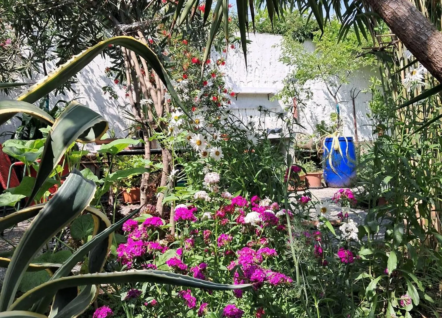 Room With A Garden Mailand