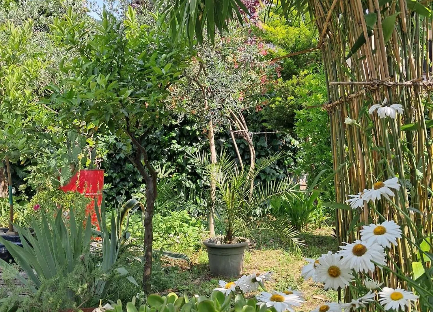 Room With A Garden location